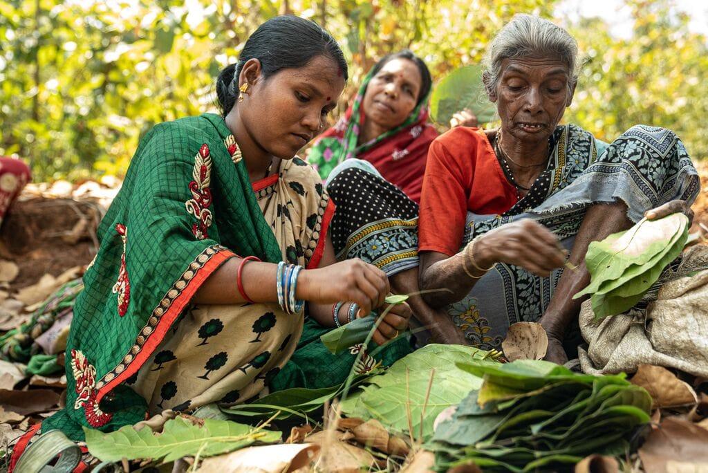 From Forest to your Table: The Story of Sal Leaf Plate Made By Tribal Women of Simlipal