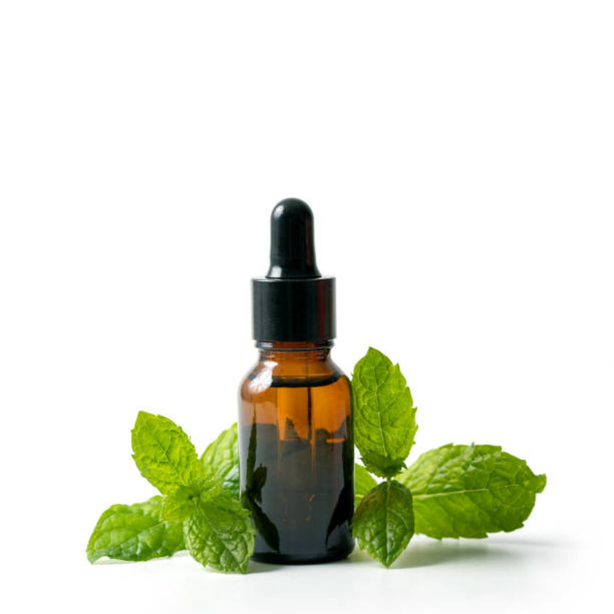 Peppermint Essential Oil 10ml