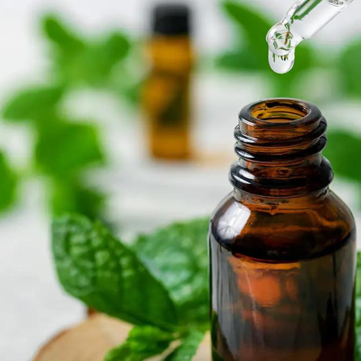 Peppermint Essential Oil 10ml